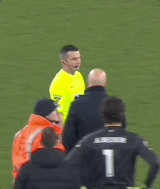 1739408379542060142.gif Feb-13-2025 08-56-11.gif